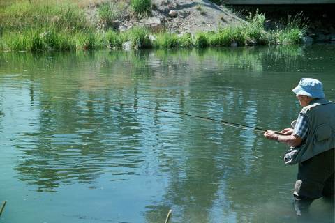 fishingmontana