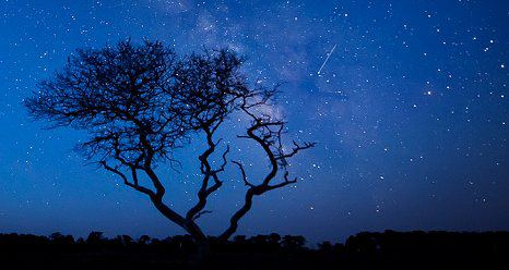 starryNight