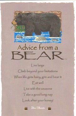 AdviceFromBear