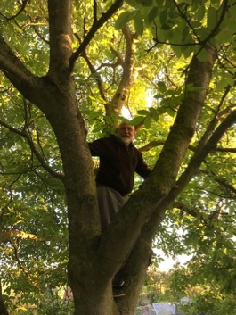 DaveInTree